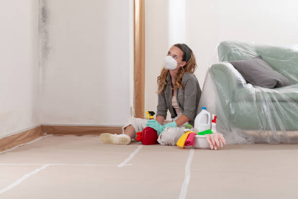 Reliable Attic Mold Removal contractor in Centreville, VA by WQB Mold Removal